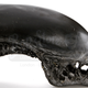 Illustration for article titled The 9 Coolest Collectibles You Can Buy on Amazon Right Now